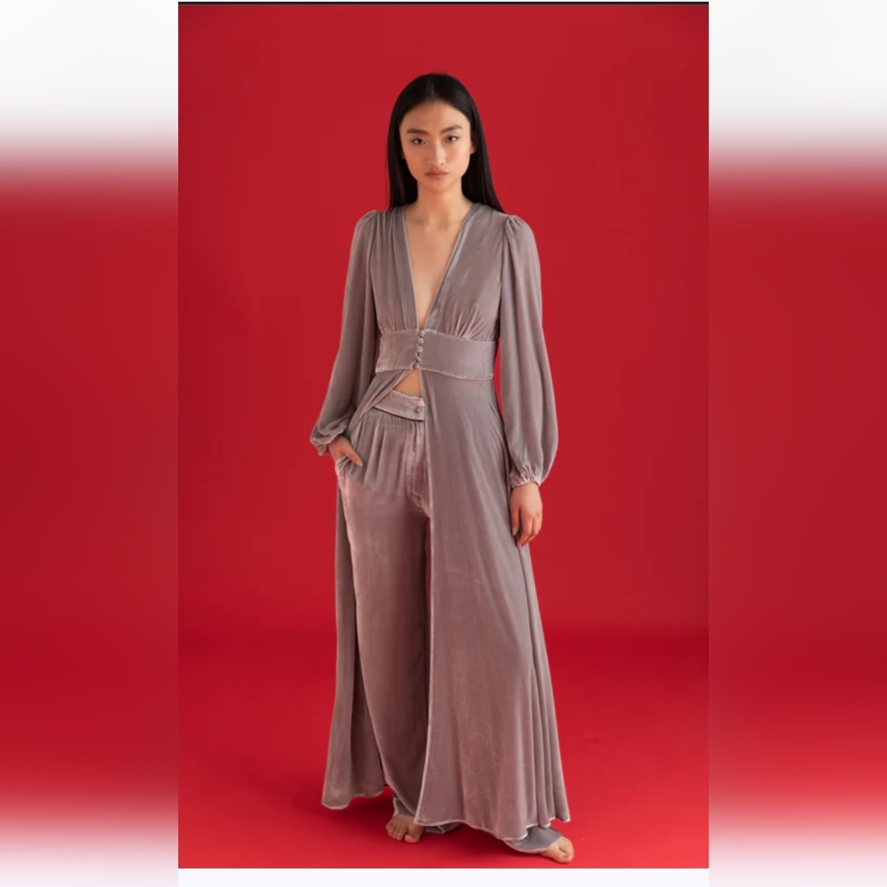 SLEEPING WITH JACQUES FRANCOISE DRESS {PLATINUM} NWT